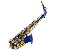 Professional Alto E-flat Brass Body Matte Blue Lacquer Gold Key Saxophone Woodwind Instrument Saxophone for Student