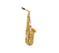 Professional Alto Sax High Saxophone Gold Lacquer With Mouthpiece Reeds Neck Case
