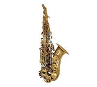 Professional Alto Saxophone Adult Beginners Practice Playing The Soprano Saxophone