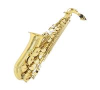 Professional Alto Saxophone Brass Instrument E Beginner Set And Accessories Saxophone(Alto Saxophone 1)
