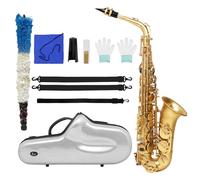 Professional Alto Saxophone Intermediate Saxophone Beginner Adult Player Playing E Flat Instrument