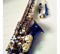 Professional Alto Saxophone Outfit with Premium Mouthpiece and Protective Case