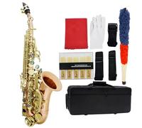 Professional Alto Saxophone Practicing Playing The Soprano Saxophone A Instrument.
