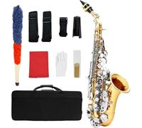 Professional Alto Saxophone The Bb soprano saxophone is a suitable instrument for adults