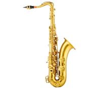 Professional Alto Saxophone The Tenor Saxophone In B Flat Is A Suitable Instrument For Beginner Musicians