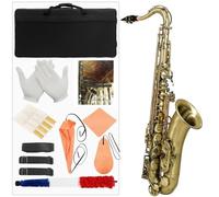 Professional Alto Saxophone The Tenor Saxophone In B Flat Is A Suitable Instrument For Beginners
