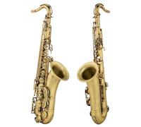 Professional Alto Saxophone The Tenor Saxophone Playing In B Flat Is A Woodwind Instrument.