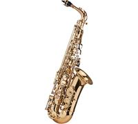 Professional Alto Saxophone with Padded Case, Essential Accessories for Musicians, Perfect for Beginners and Professionals