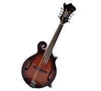 Professional Antique F-shaped Mandolin 8-string Mandolin Spruce Veneer Tiger Pattern Maple Side Back Panel Mandolin for Student
