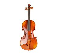 Professional Antique Violin 4/4 Stripes Maple Master Hand-craft Varnishing Violino With Case (Color : 1/2)