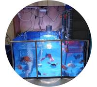 Professional Aquaculture Tank with Viewing Window, Reinforced PVC Canvas Fish Pond, Stainless Steel Frame & Quick Drain (Blue 140x140x35cm)
