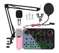 Professional Audio Mixer, DJ16 Sound Card 48V Large Diaphragm Condenser Microphone Voice Changer,Suitable For DJ, Condenser Microphone, Online Karaoke, Singing, Karaoke, Live Broadcast. (Pink)