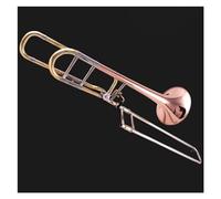 Professional B Flat To F Tenor Change Pitch Trombone Musical Instrument With Storage Case Trombone for Beginner (Color : B)