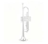 Professional B Flat Trumpet Beginner Trumpet | Brass instrument; includes case(Silver)
