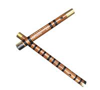 Professional Bamboo Flute Brown Double-insert Brass 2-section Bamboo Flute Dizi Beginner Woodwind Instrument Bamboo Flute Musical Instruments (Color : C)