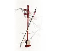 Professional Banhu, Chinese 2 Strings Violin with Case, Redwood 2 Strings Instrument, Cultural Gift, Traditional Performances, Traditional Opera Accompaniment B