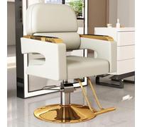 Professional Barber Chair, Styling Salon Chair with 360° Swivel & Adjustable Height, Barbershop Chair for Barbershops, Beauty Salons, and Home Use,White,Gold frame