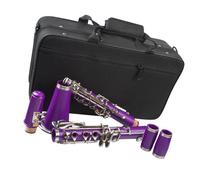 Professional Bb Clarinet 17 Keys Select Plastic Body Nickel Plated Keys Kit Purple Clarinet Musical Instruments