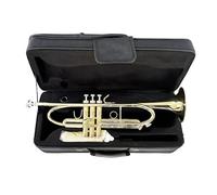 Professional BB Tone Trumpet Brass Body Standard Trumpet