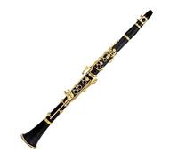Professional Bflat With Bakelite Case(Gilded Key Clarinet)