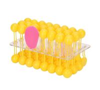 Professional Biology Teaching Instrument Fluid Model for Science Education Academic Training and Laboratory Use Cell Membrane Structure Model