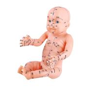 Professional body acupuncture model and needle set for Chinese education precise meridian point positioning point study model