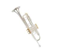 Professional Brass Trumpet Instrument Bb Trumpet In The Key Of B Brass And Silver Plated Professional Practice Instrument With Leather Box