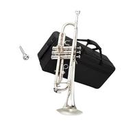 Professional Brass Trumpet Instrument Trumpet Instrument In B Flat Key For Adults To Learn To Play Wind Instruments(Nickel Plated)