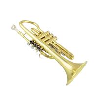 Professional Brass Tube Body B Flat Lacquer Gold Cornet Professional Band School Adult Musical Instrument