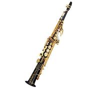 Professional Carve Pattern Brass Straight High-pitched Saxophone Bb B Flat Sax Instrument For Adult Beginner Saxophone for Student (Color : 02)