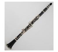 Professional Clarinet 17 Key B-flat Tone Clarinet Black ABS Resin Tube Nickel Silver Keys Clarinet With Case Accessories