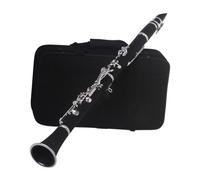 Professional Clarinet 17 Keys 6 Rings Clarinet Falling Tune B Clarinet Clarinet Blackwinds Woodwind Instruments