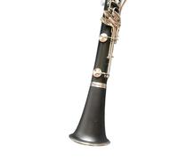 Professional Clarinet B-flat Tune Professional Woodwind Instruments Clarinet Black Tube With Case Accessories