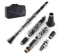 Professional Clarinet Bb Clarinet 17 Keys ABS Material Beginnery With Tools And 2 Replaceable Barrels(Black)