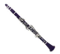Professional Clarinet Purple 17 Keys Clarinet Bb Flat ABS Body Clarinet Cupronickel Nickel-plated Key With Box And Accessories