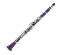 Professional Clarinet Purple Clarinet Musical Instrument Clarinet. Well-made Clarinet