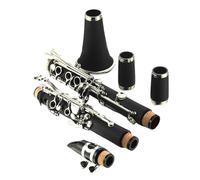 Professional Clarinet The beginner clarinet is suitable for any player