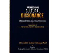 PROFESSIONAL CULTURAL DESSONANCE: ORGANIZATIONAL CULTURAL MEDIATION