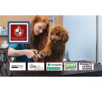 Professional Dog Training & Behaviour Mastery Online Course