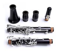 Professional Ebony Clarinet Bb Tone 17/18 Keys Silver Plated Grenadilla Solid Wood Sib Klarnet Beginner Clarinet (Color : 17 keys)