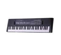 Professional Electronic Pianos Professional 61 Keys Portable Electronic Organ Pianos Mini Keyboard Instrument