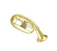 Professional Euphonium 3Practice Playing The Euphonium B Flat Horn And Keys(2)