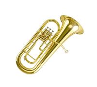 Professional Euphonium 3Practice Playing The Euphonium B Flat Horn And Keys(3)