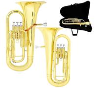Professional Euphonium Phosphorus Copper Tube Body 3 Key Vertical Number Bb Brass Euphonium Bass Instrument Parts With Case Back Straps