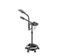 Professional Facial Steamer, 2 in 1 Facial Steamer with LED 3X Magnifying Lamp Home Spa Salon Use Whiten Skin Promote Blood Circulation and Sweep Sediment (Color : B)