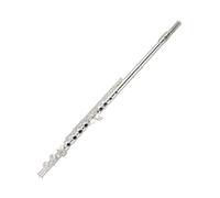 Professional Flute 16 Hole 17 Hole Flute Open And Close Dual-purpose Accessories Examination Playing C Key(17 holes)