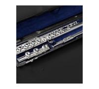 Professional Flute Flute Instrument Adult Beginner Entry C Key 16 Hole C Tail Closed Hole Nickel Silver Plated(B)
