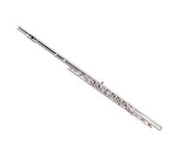 Professional Flute for Adults 16 Hole C Key Closed Hole Adult Flute
