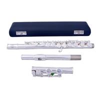 Professional Flute for Adults 16 Hole C Key Closed Hole Flute With E Key Practice Instrument