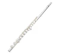 Professional Flute for Adults 16 Hole C Major Flute For Beginners To Practice Playing